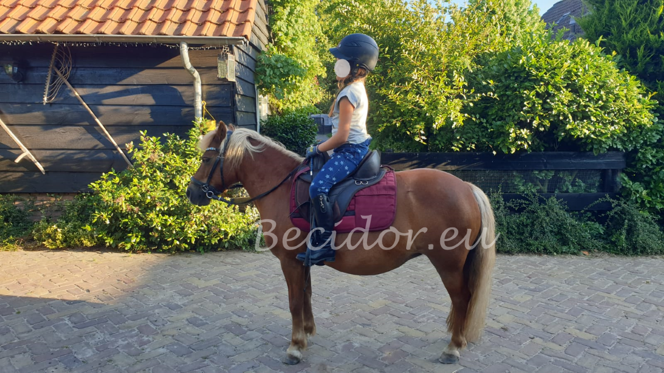 Vika XS treeless saddle pony
