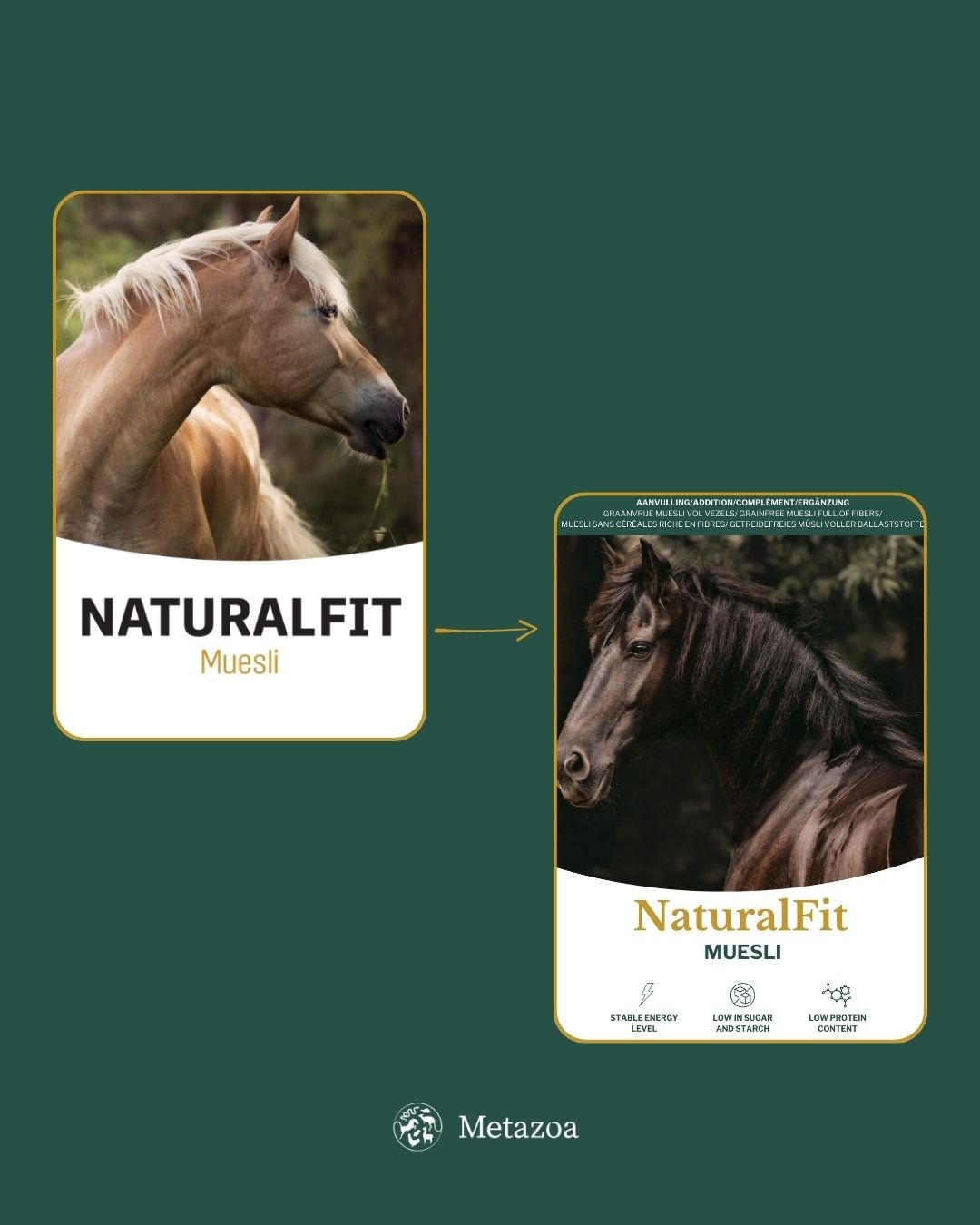 NaturalFit Musli