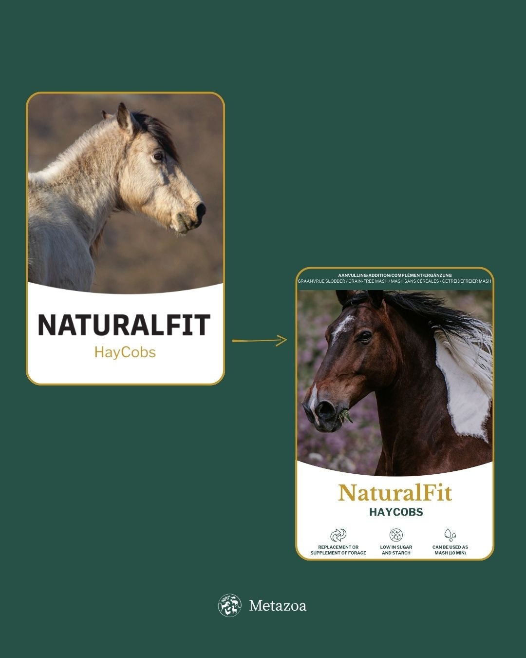 NaturalFit HayCobs Timotheus