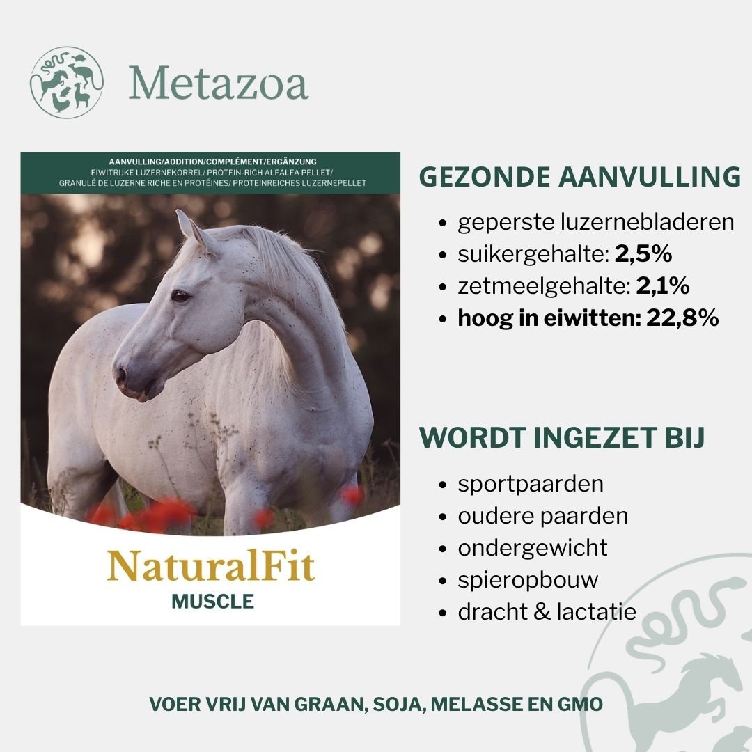 NaturalFit Muscle