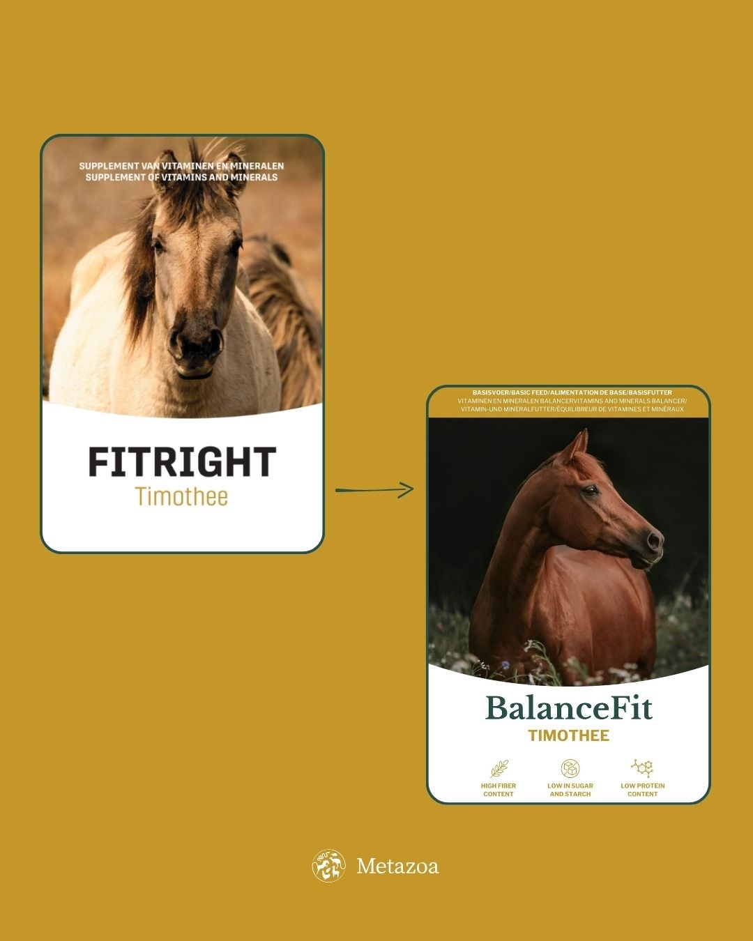 FitRight Timotheus pellets