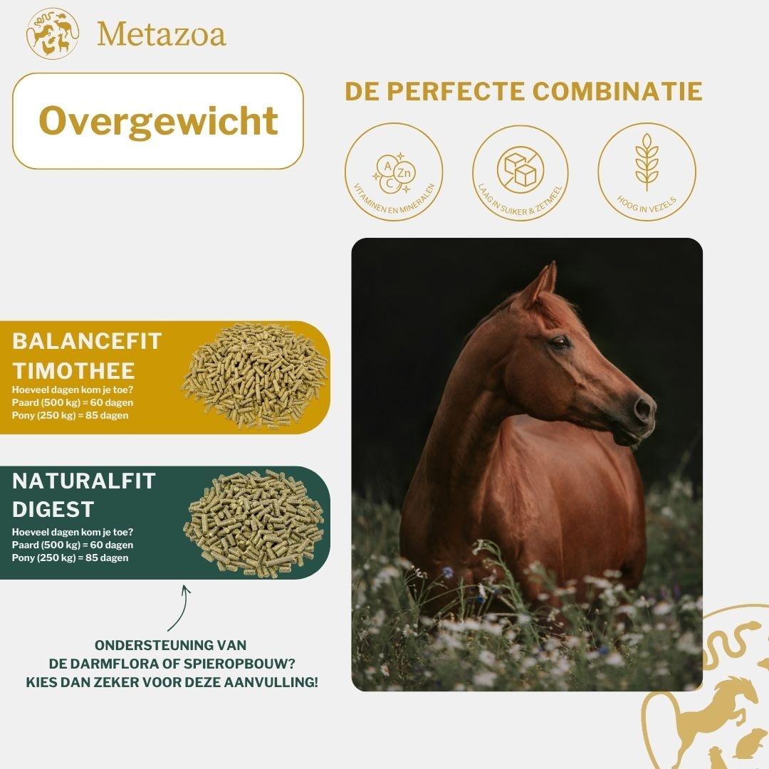 FitRight Timotheus pellets