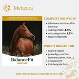 FitRight Timothy cobs