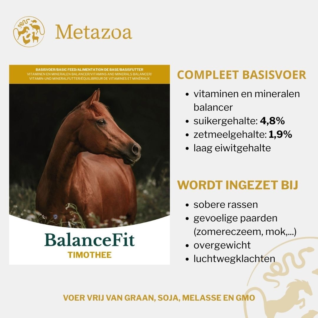 BalanceFit Timothy cobs