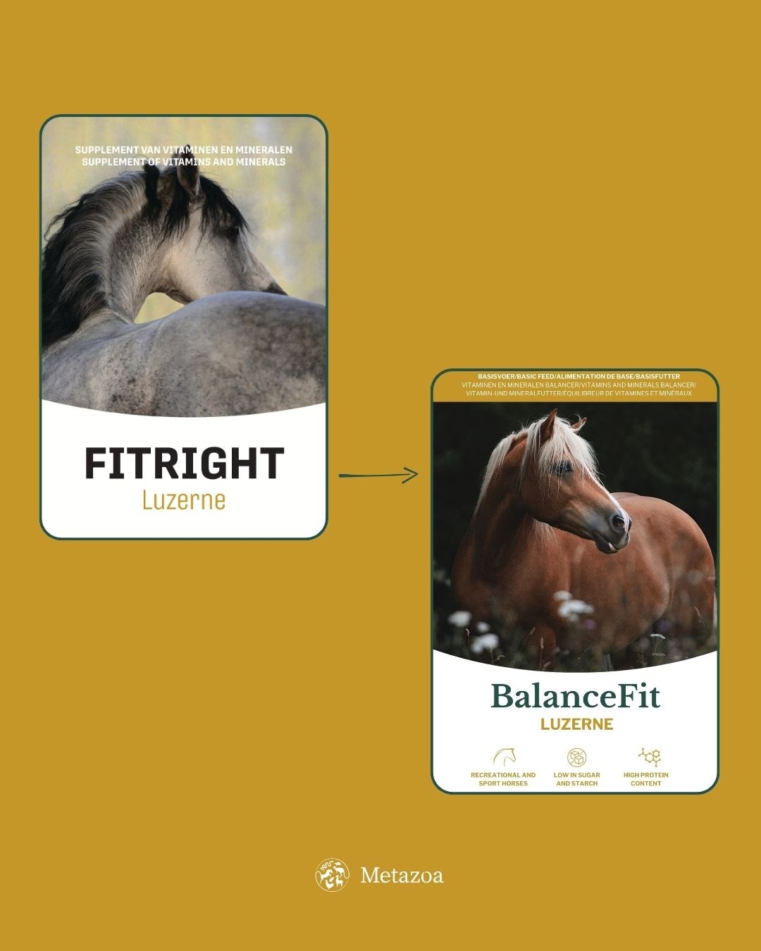 BalanceFit Luzerne pellets