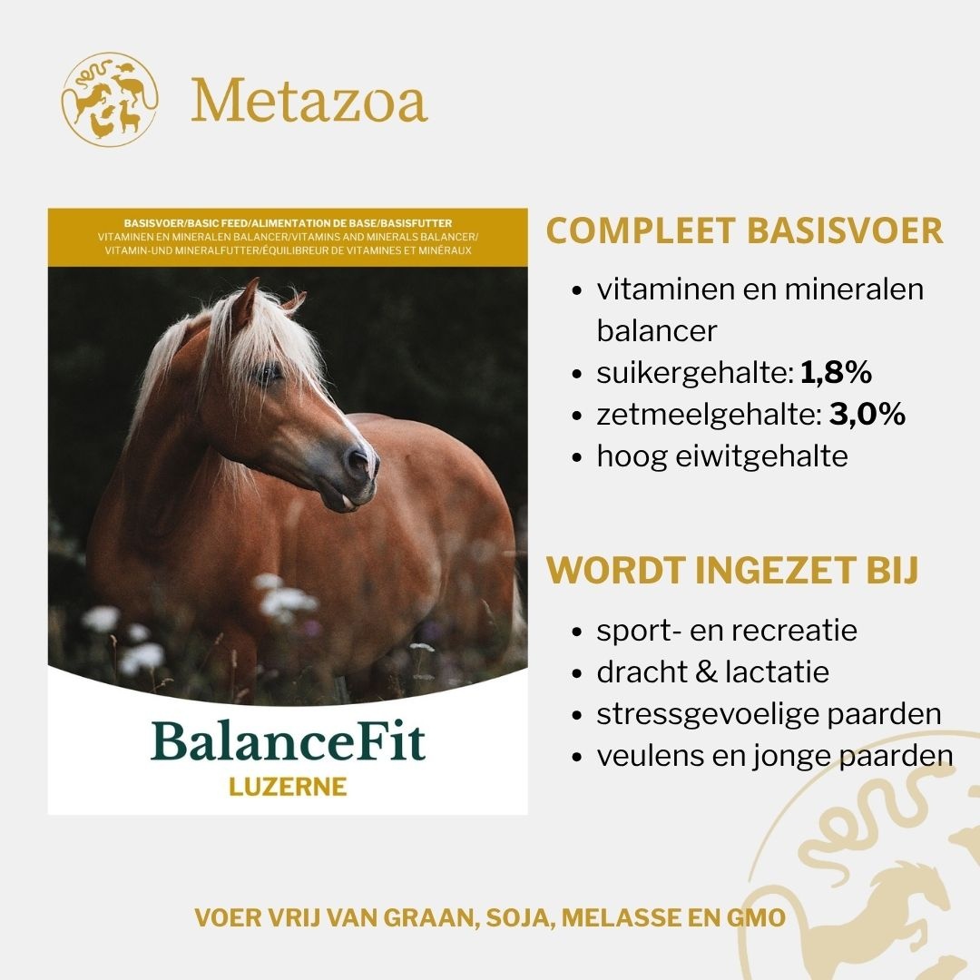 BalanceFit Luzerne brokjes