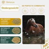 FitRight Luzerne brokjes