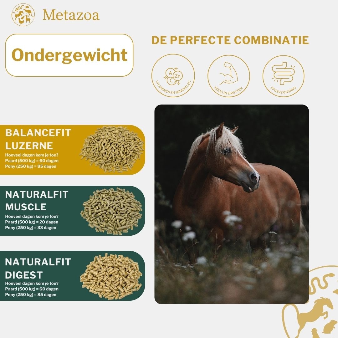 FitRight Luzerne pellets