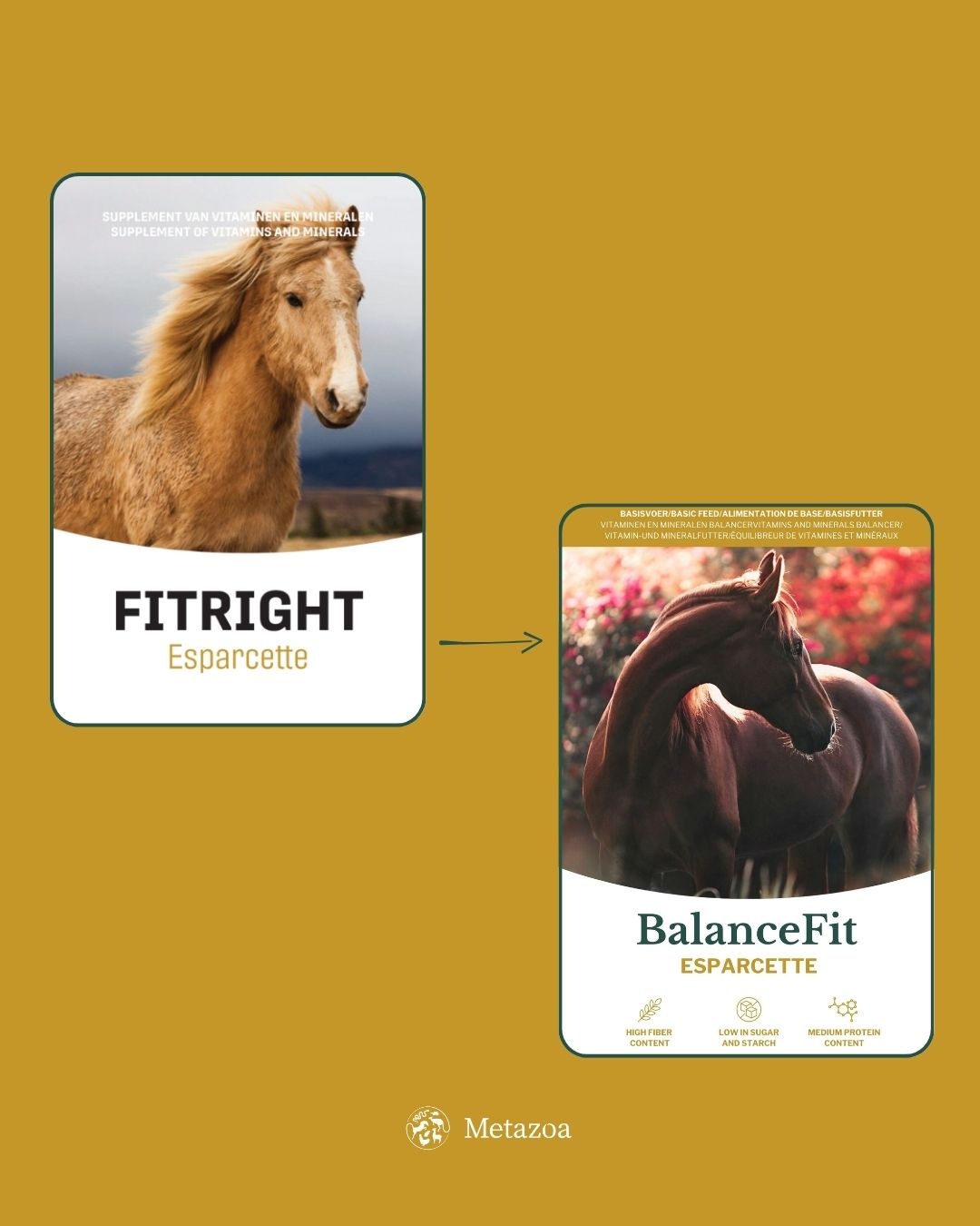 BalanceFit Esparcette cobs