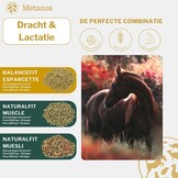 FitRight Esparcette pellets