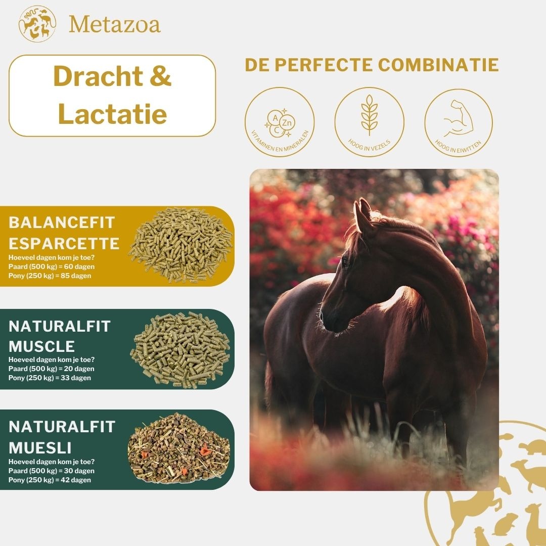 FitRight Esparcette pellets