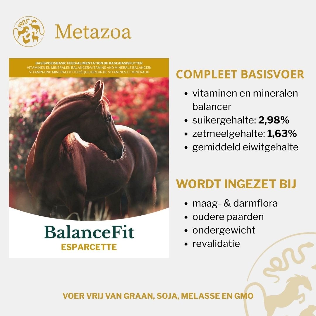 BalanceFit Esparcette brokjes