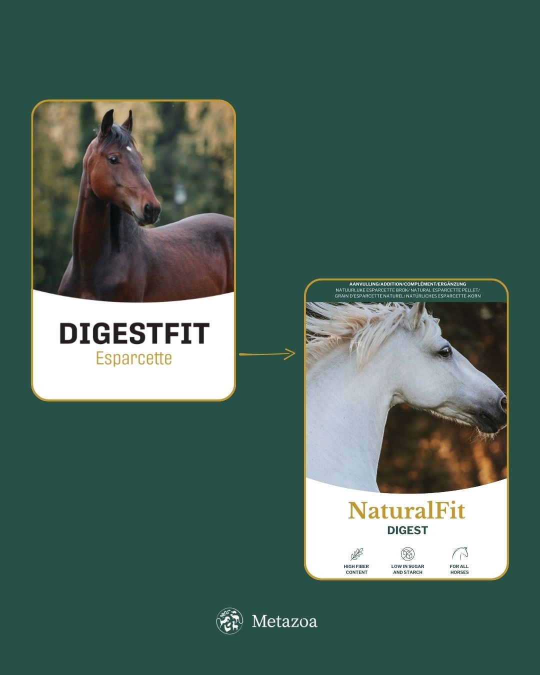 NaturalFit Digest
