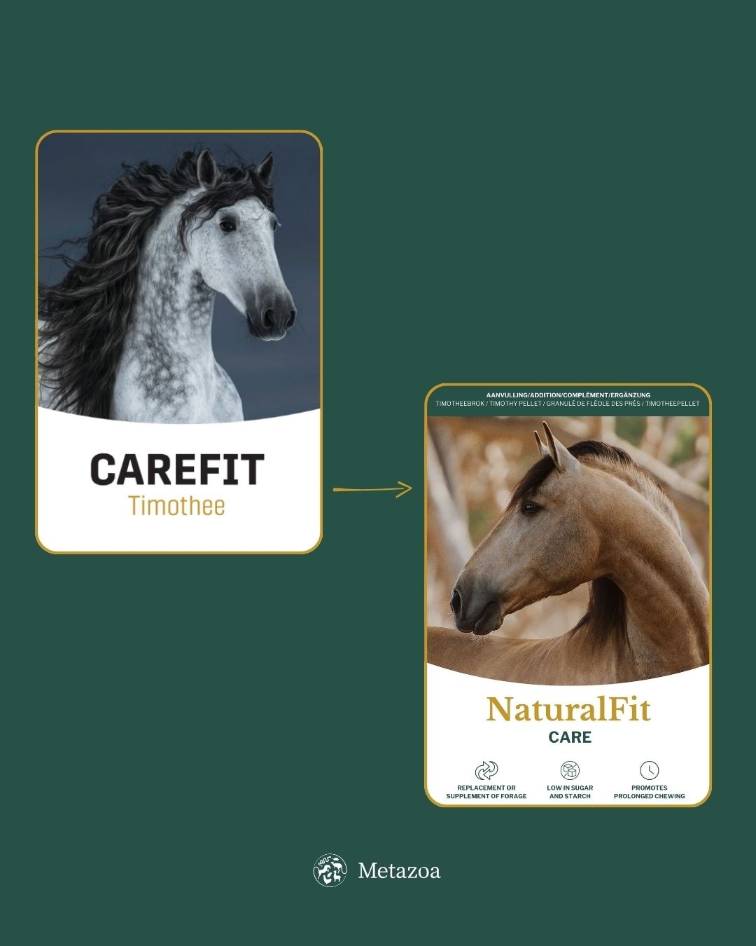 Naturalfit Care Timothy