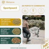 NaturalFit Muesli