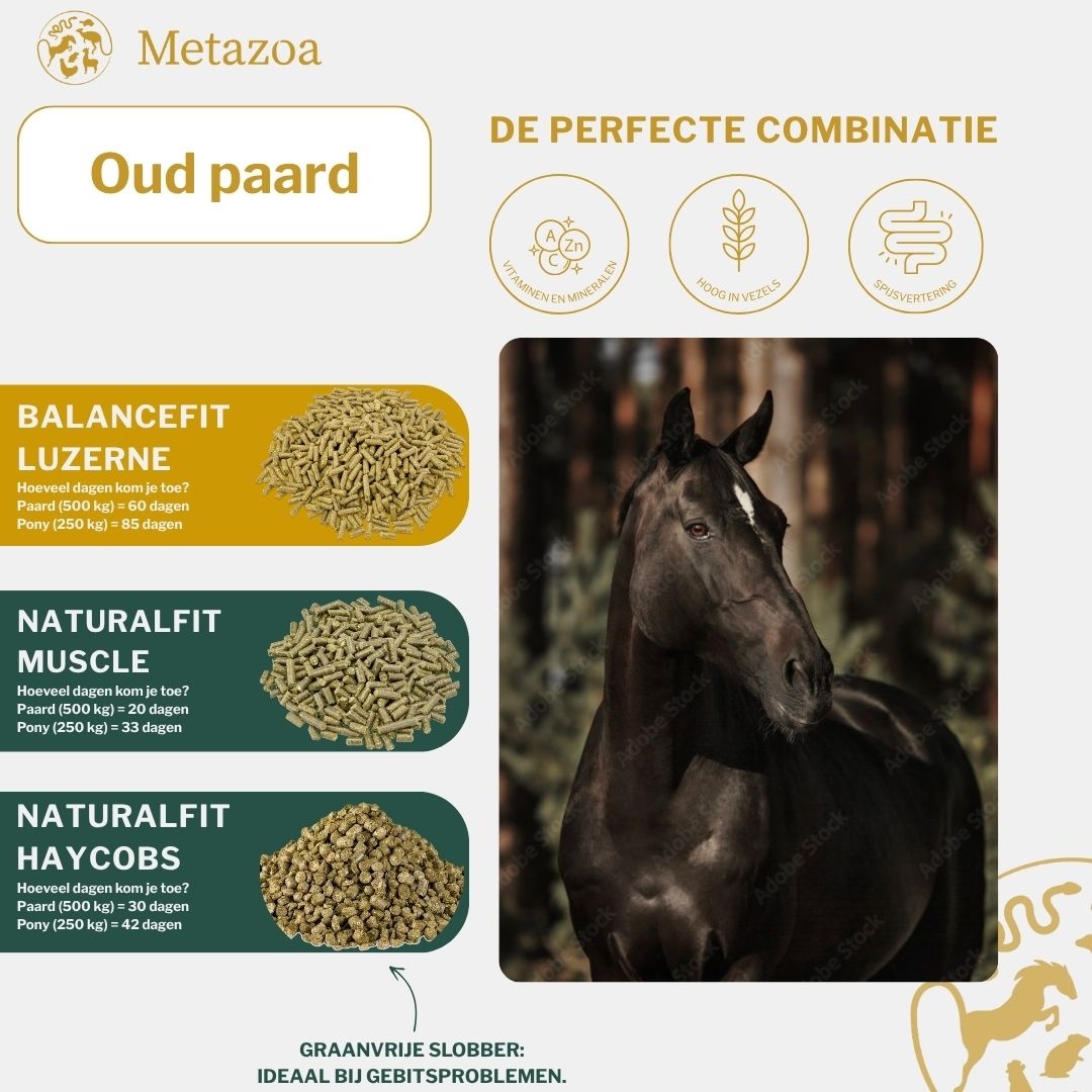 NaturalFit HayCobs Timotheus