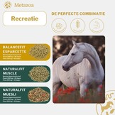 NaturalFit Muscle