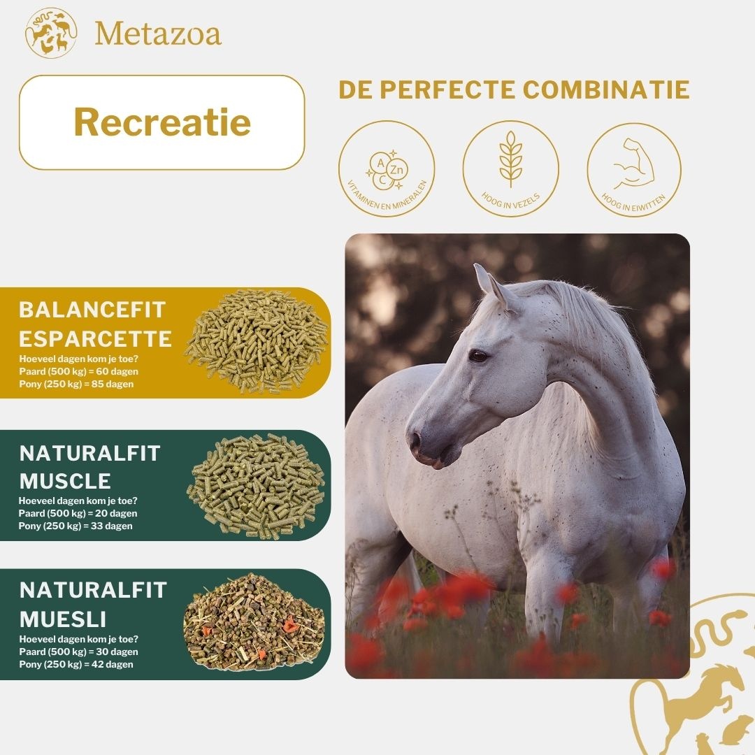 FitRight Esparcette pellets