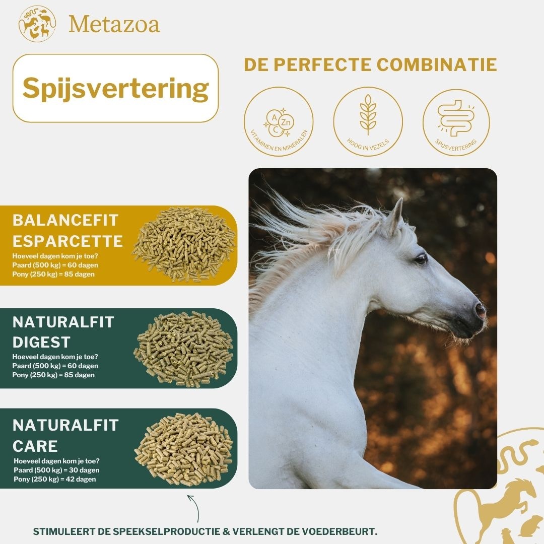 FitRight Esparcette cobs