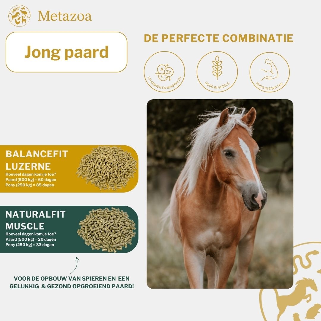 FitRight Luzerne pellets