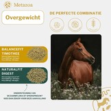 NaturalFit Digest