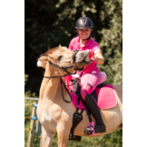 Dressage correction pad with lambskin inserts