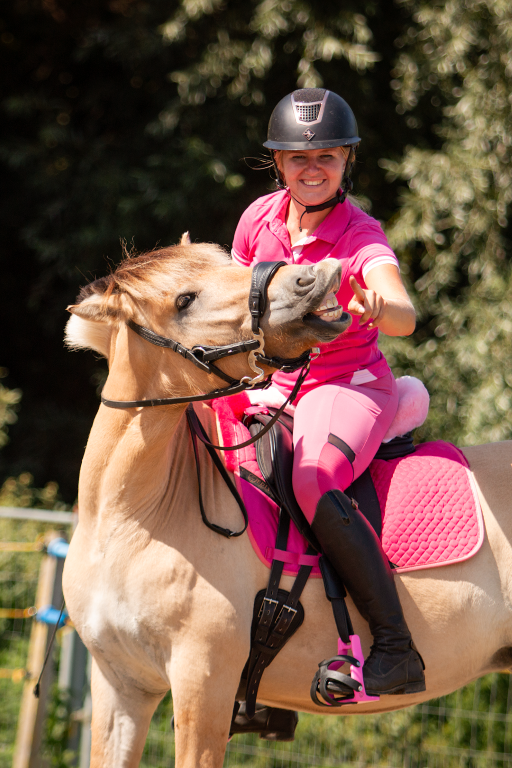 Dressage correction pad with lambskin inserts