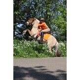 Dressurkorrekturkissen mit Lammfelleinsätzen