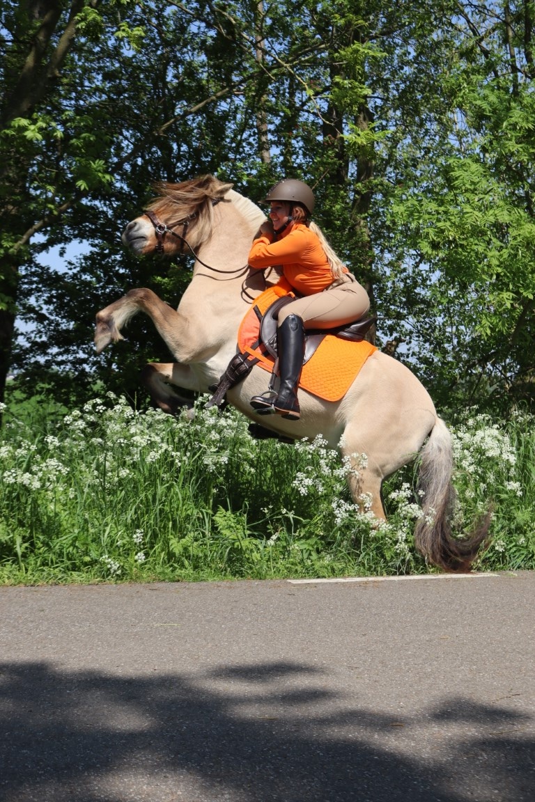 Dressurkorrekturkissen mit Lammfelleinsätzen