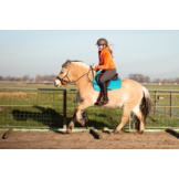 Veelzijdigheid correctie pad lamsvel met inlages