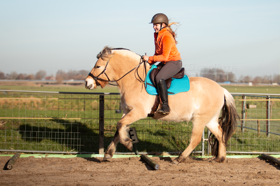 Veelzijdigheid correctie pad lamsvel met inlages