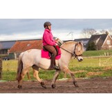 Versatility lambskin correction pad with inserts