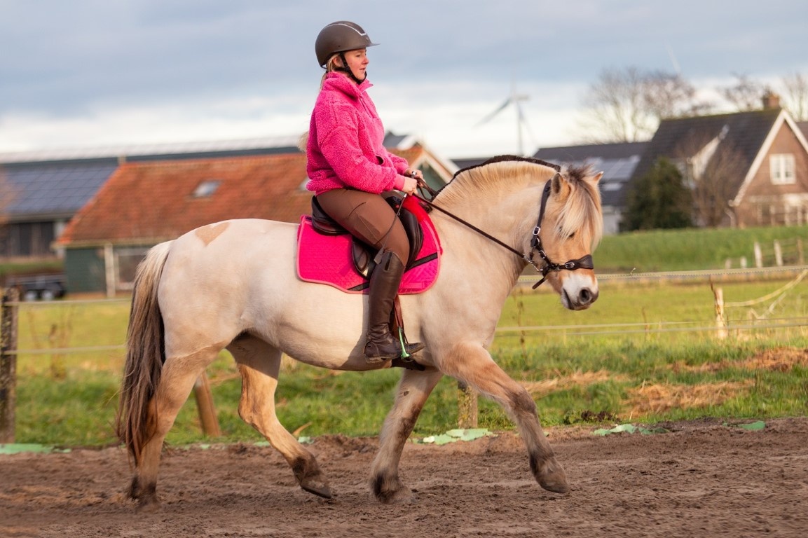 Veelzijdigheid correctie pad lamsvel met inlages