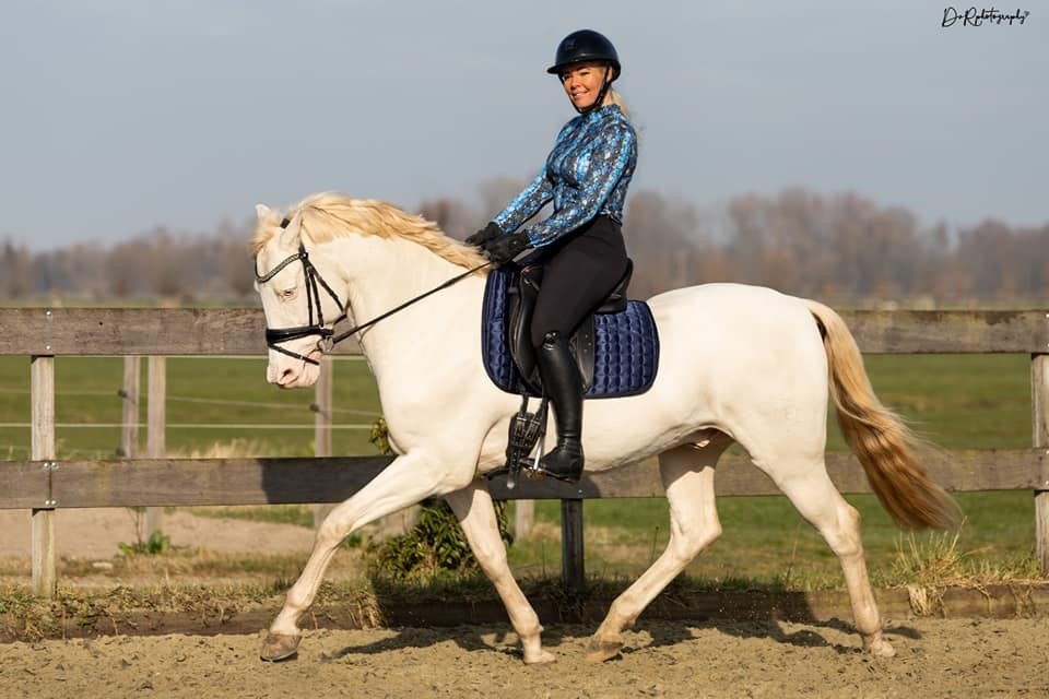 UNI treeless saddle pad correction cotton dressage