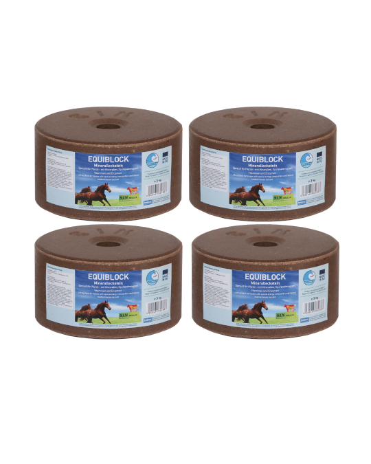 Lick horse EquiVital Plus 3kg  value pack 4 pieces