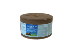 Liksteen paard EquiVital Plus 3kg