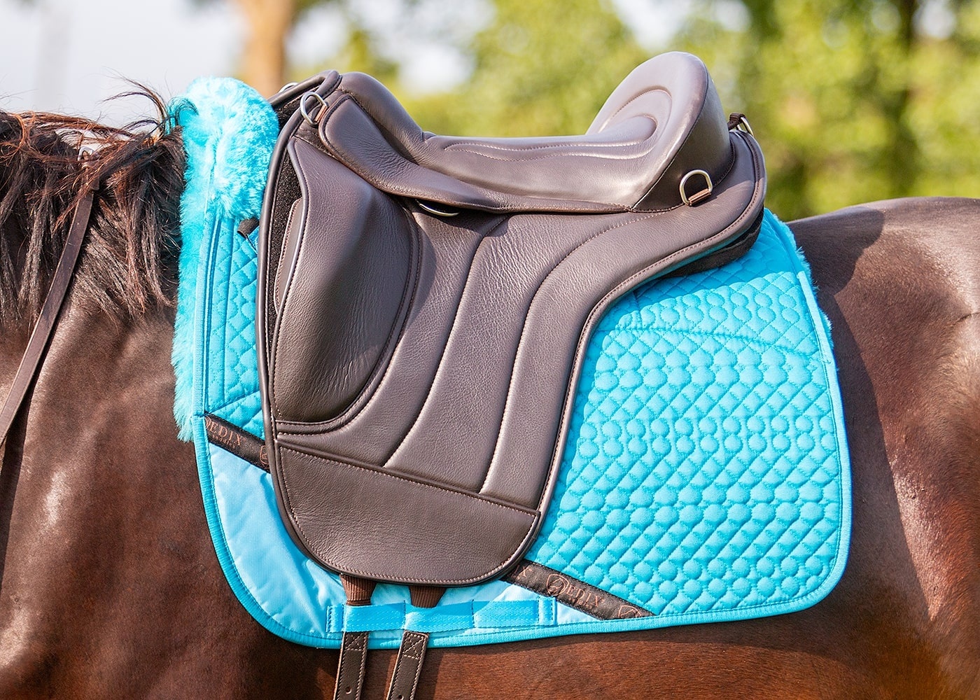 Dressage correction pad with lambskin inserts