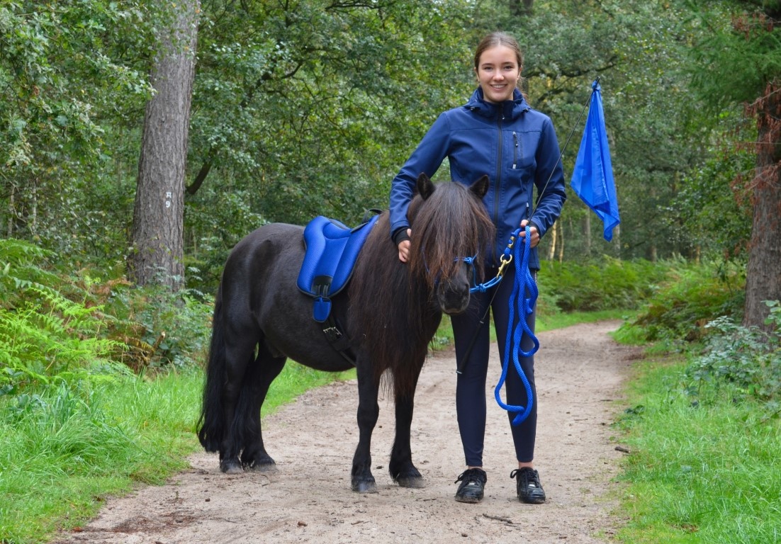 Stick met vlag horsemanship