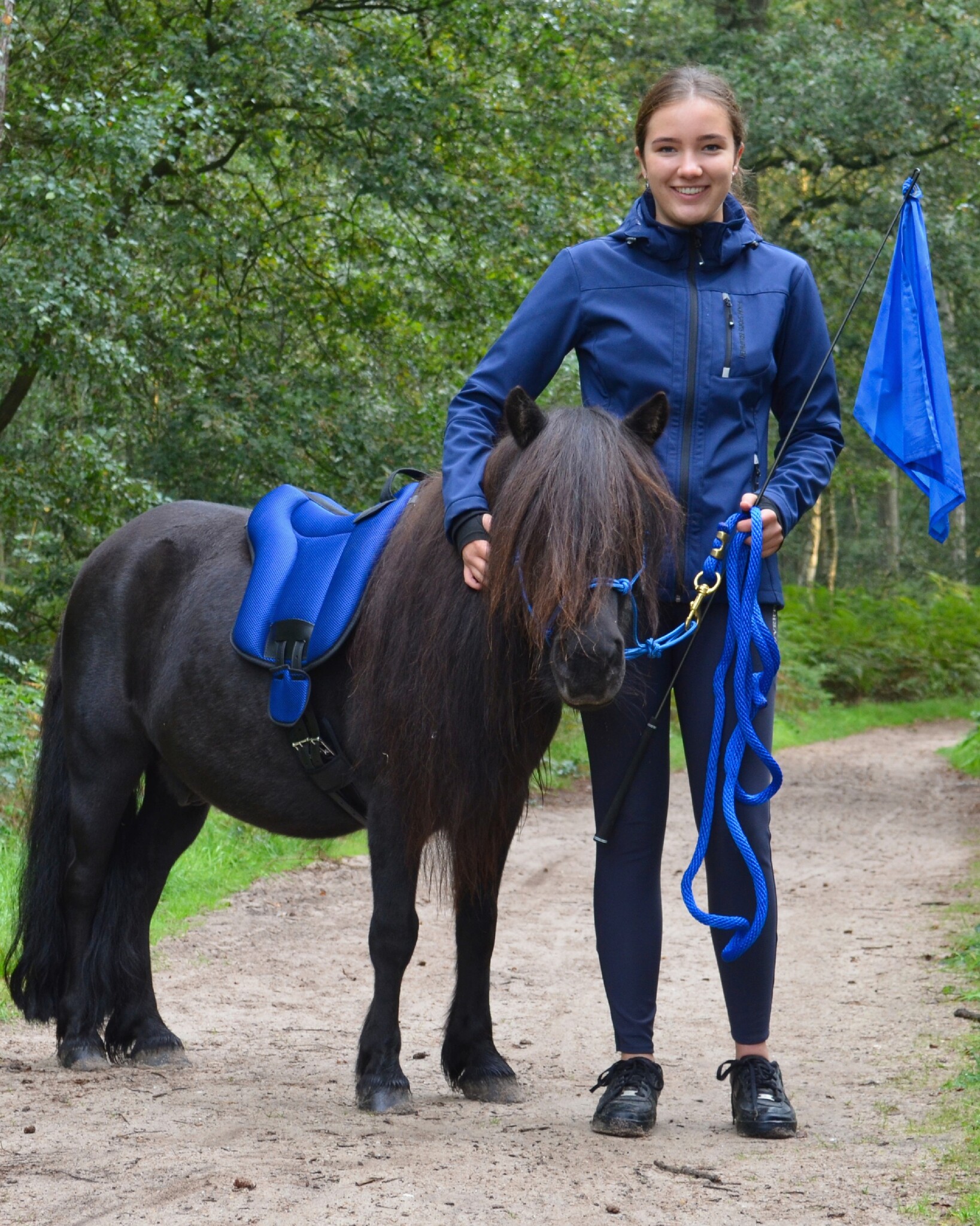 Stick met vlag horsemanship