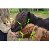 NaturPUR balance muesli organic horse feed 20kg