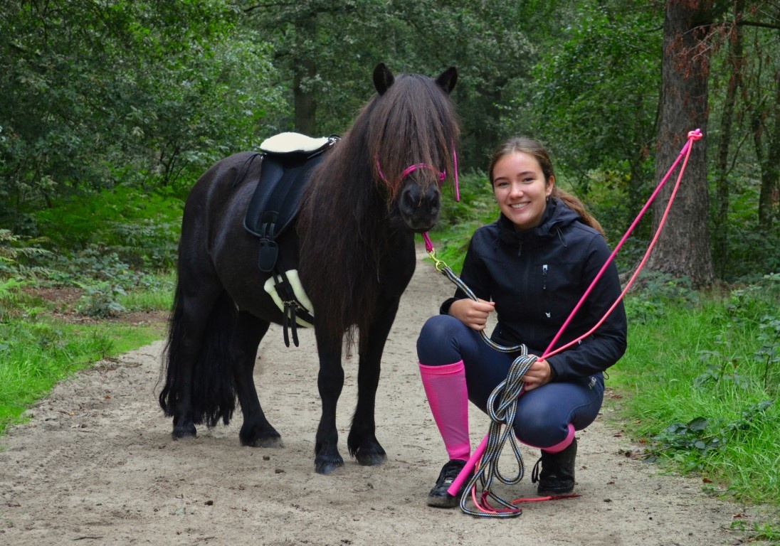 Stick standard available in 8 colors