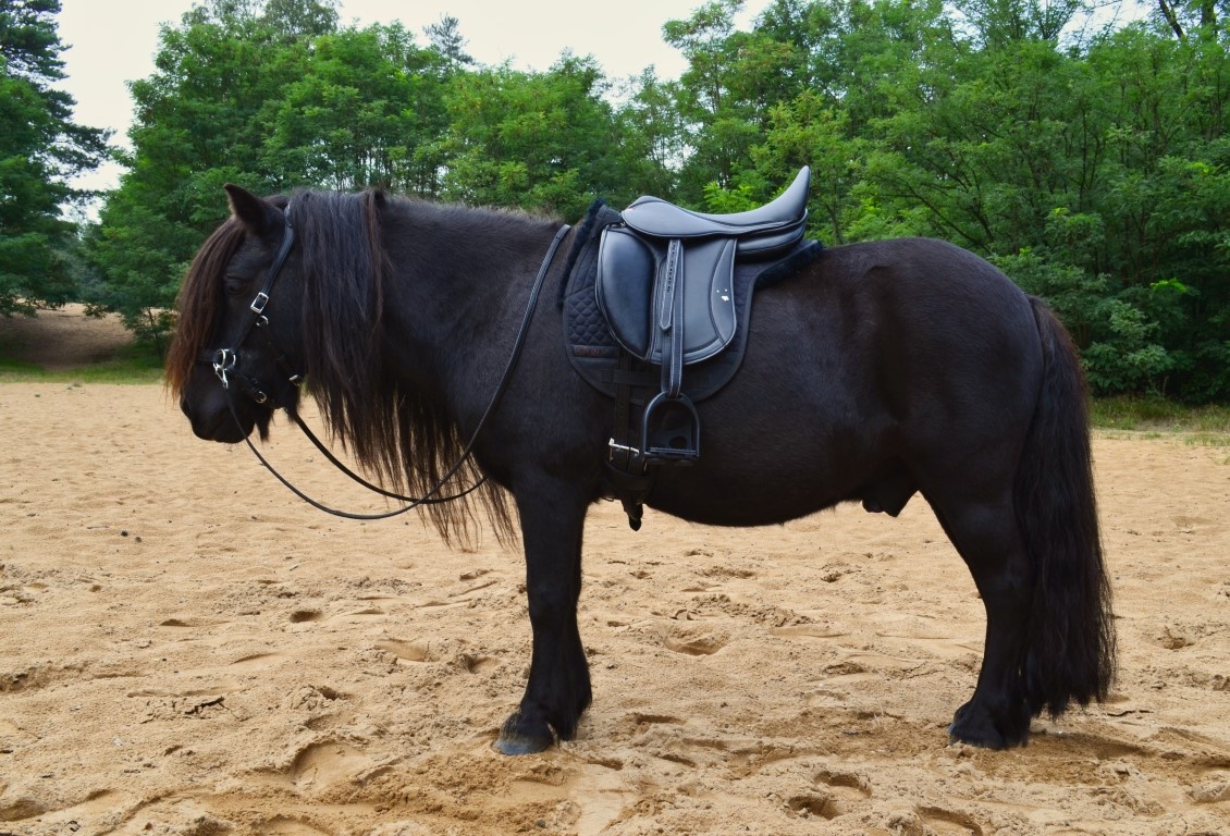 Amigo Lamfell Unterlage mit Einlagen