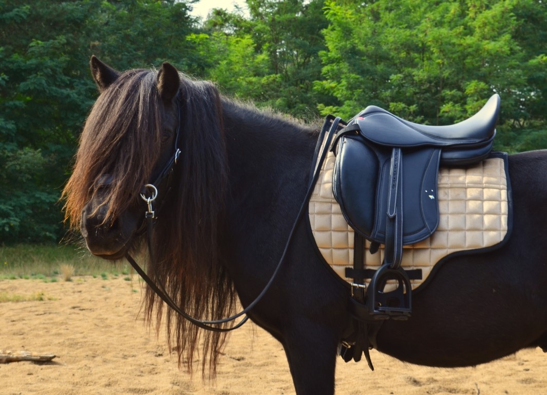 Tudor Child Soft Three dressage saddle synthetic leather