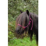 Lazy einfaches Knotenhalfter