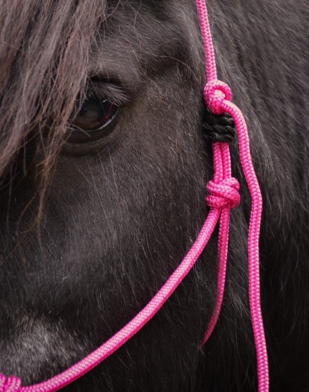Lazy easy rope halter