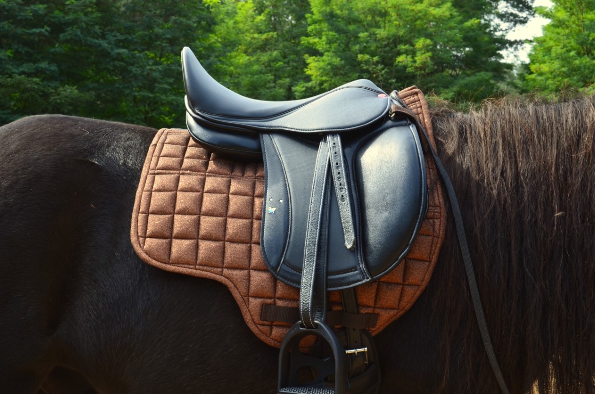 Glitter DR saddle pad with inlays correction Wave