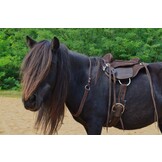 Broncho Bareback Pad wildleder