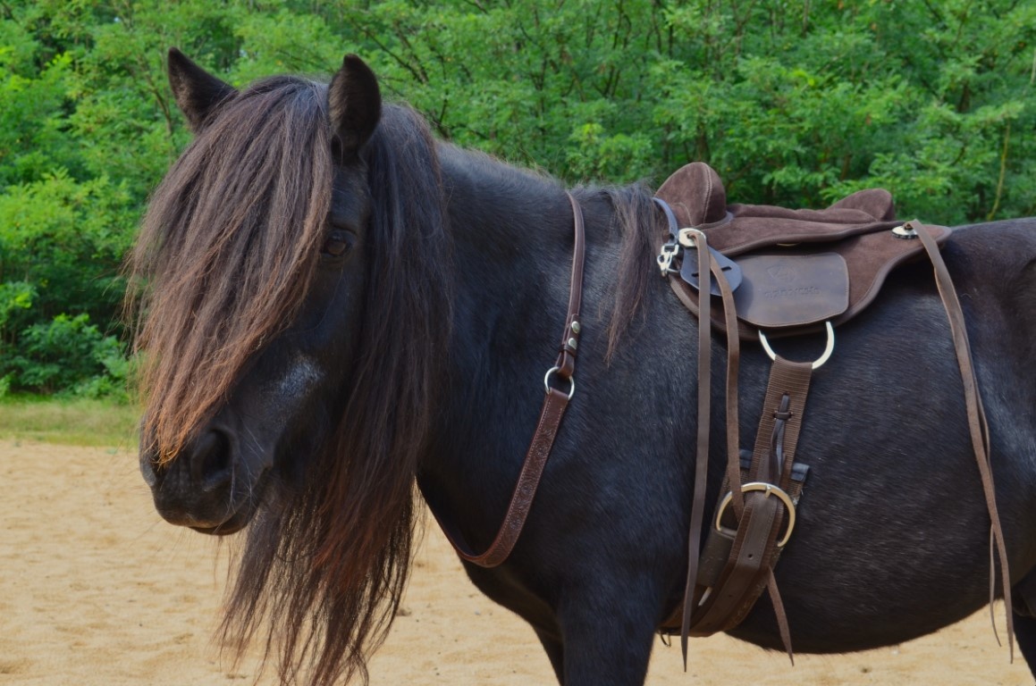 Broncho barebackpad suède