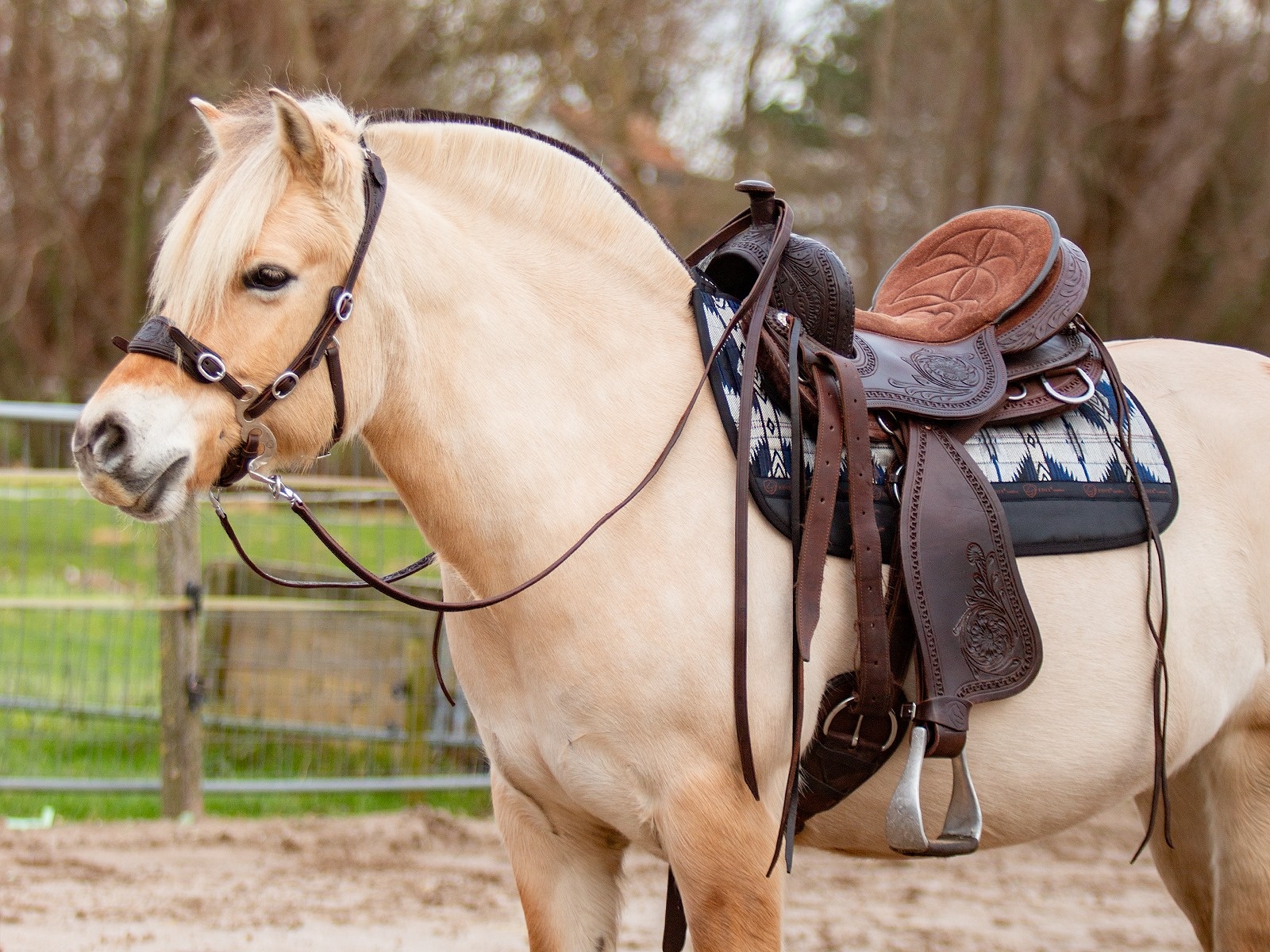 Westernpad squareskirt vilt