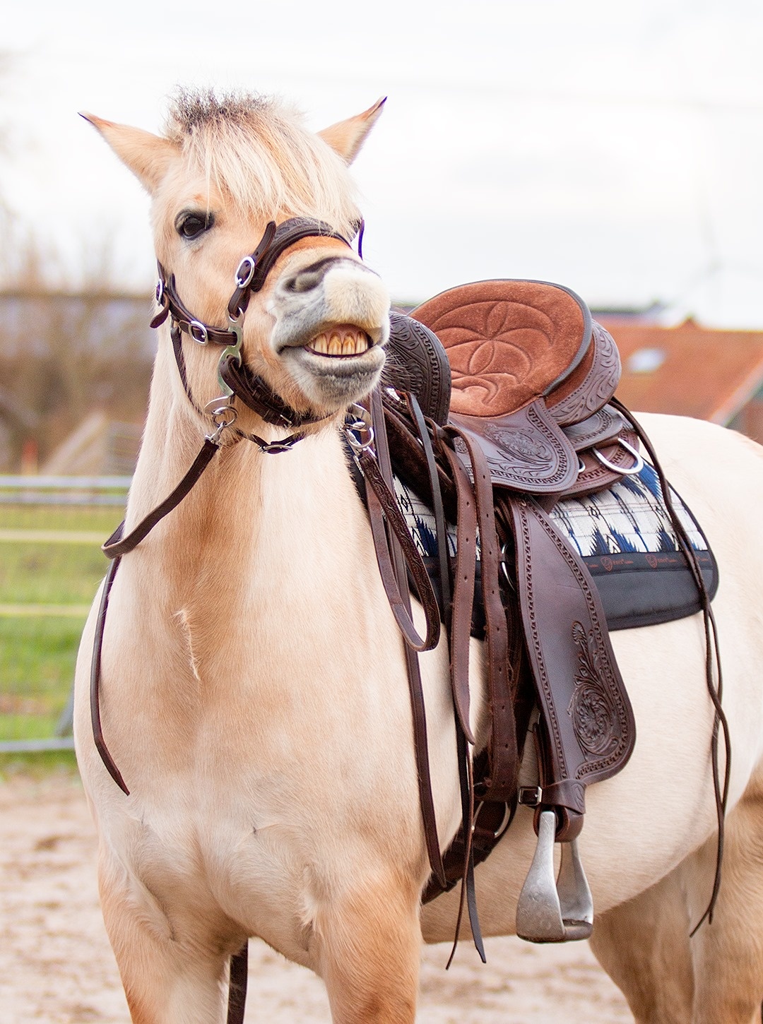 Westernpad squareskirt vilt